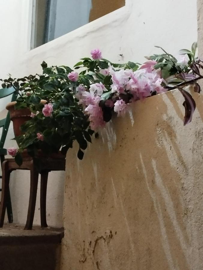 Um Quarto Da Casa Do Monte Vila Franca do Campo Bagian luar foto